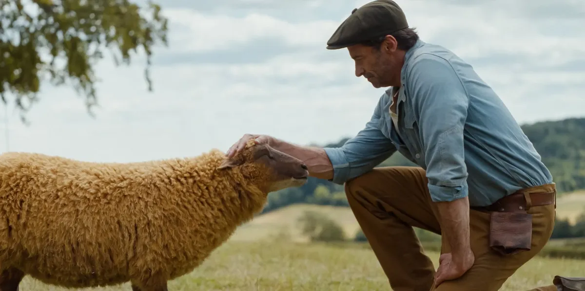The sheep detectives: What Is About?