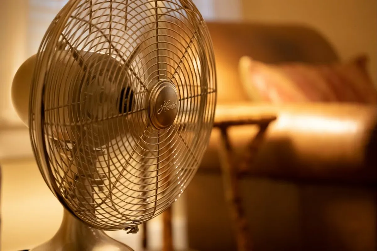 Tjx canada merkury fan recall: What You Need to Know About the