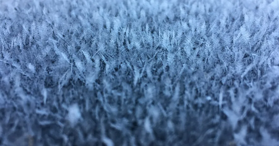 Yellow advisory – frost: What Does the Mean for Toronto This April?